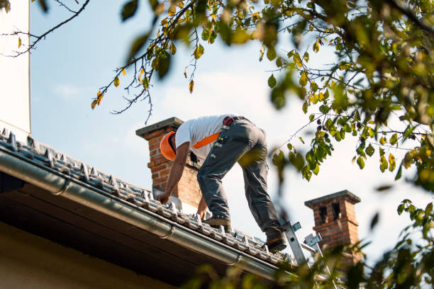 Best Flat Roof Repair Services  in Georgetown, DE